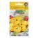 Patisson seeds "Groshik", 10 pcs