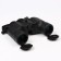 Binoculars Impact, zoom 8, 40mm lens, waterproof