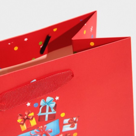 Laminated vertical “Gift” package, MS 18 x 23 x 10 cm, New Year-4