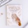 Golden teacher gift set: A5 diary, 80 sheets, stickers and ballpoint pen, blue pasta