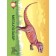 Cards for smart development. Dinosaurs. 34 cards. Boychenko T.I.