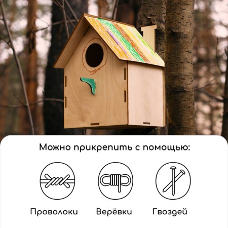 Birdland for birds, 40 × 19 × 19 cm, Greengo-5