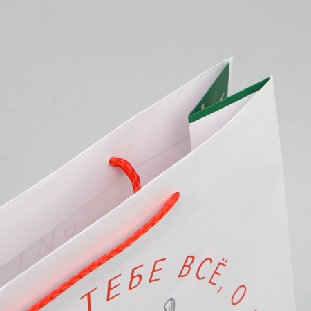 Laminated vertical package “Everything you dream”, l 28 x 38 x 9 cm, New Year-3