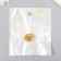 Floor with magnetic metal gold 0.6x1.2x0.6 cm
