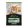 Wet Pro Plan food for sterilized cats, chicken in sauce, spider, 85 g
