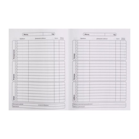 Universal diary for grades 1-11 "Rabbit with a wreath", solid cover, glossy lamination, cheat sheet, 48 sheets-4
