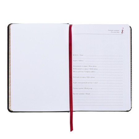 Diary of a low -end A5+, 136 sheets of Sidney Nebraska, hard cover, artificial leather, silver cut, black-5