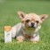 Therapeutic herbs "Pigger" soothing, for dogs, 50 ml
