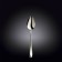 A set of dessert spoons Wilmax England Stella, 19 cm, 2 pcs