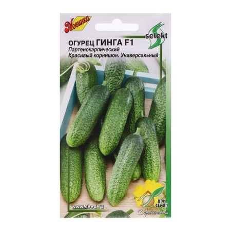 Cucumber seeds "Ging F1", 6 pcs