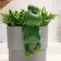 Decor for Kashpo "Frog Kvak" 10x8x19cm