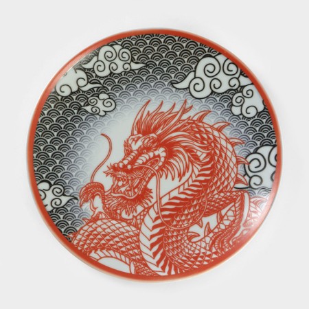 Porcelain plate "Fiery snake", D = 24 cm