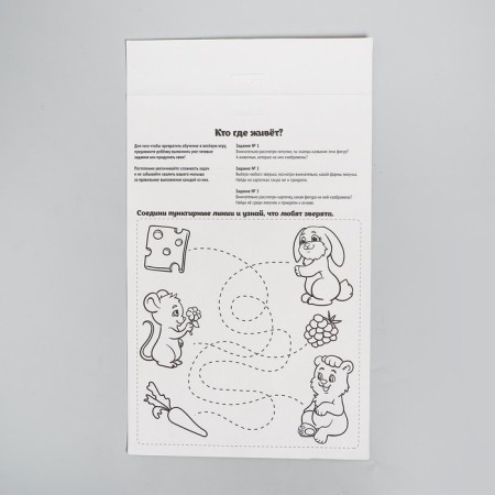 Velcro game "Animals" (according to the methodology of Segen)-5