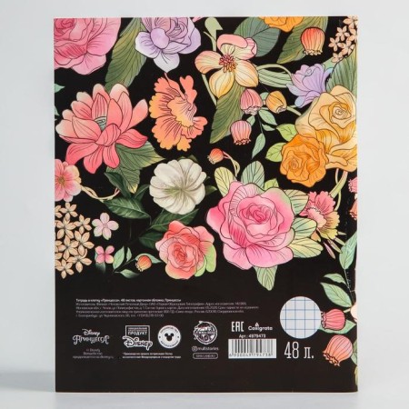 Notebook 48 sheets in a cage, cardboard cover "Princess"-4