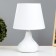 Vidjay table lamp E14 40W 20x20x30 cm Risalux