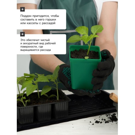 Patron for seedlings 55 x 30 x 5.6 cm, plastic (with hardenings), "Greengo"-2