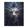 Diary for grades 5-11, 48 sheets, technoboom, integral cover, glossy lamination, print on a holographic film
