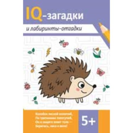 IQ robes and labyrinths. Pogosova K.V.