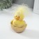 Souvenir Polystone "Yellow Tsypushka in the shell" 6x6x8 cm