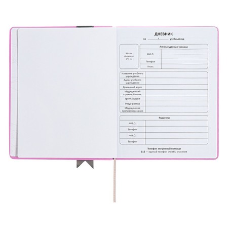 Universal diary for grades 1-11 Lenta, solid cover of artificial leather, applique, silkography, liesse, 48 sheets, pink-3