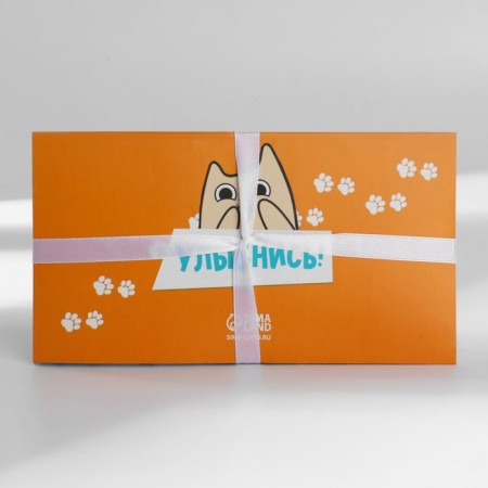 Gift set "Cotoplaning" Planing and pen-2