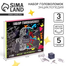 Головоломка металлическая «Мозг человека», набор 5 шт.