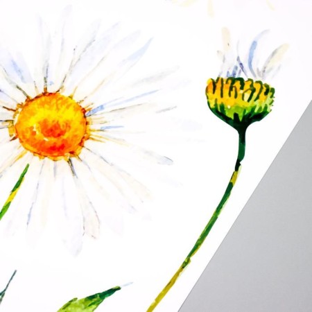 Stick plastic interior color "chamomile" 40x60 cm-2
