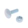 Bolt furniture tundra Krep Din603 6x20 with a nut, zinc, 10 pcs.