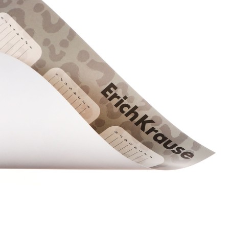 Schedule A3, Erichkrause "Happy Capy", coated cardboard-3