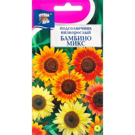 Flower seeds Sunflower Small Bambino, mix, 0.5 g