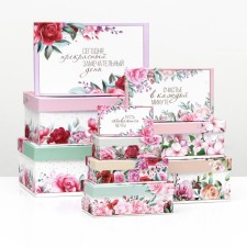 A set of rectangular boxes 10 in 1 