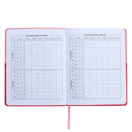 Universal Grade 1-11 Diary, 48 pink sheets, firm artificial leather cover, pancake embossing, liesse-7