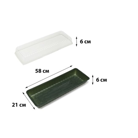 Mini-Pirate for seedlings, 58 × 21 × 12 cm, without inserts, dark green, Greengo