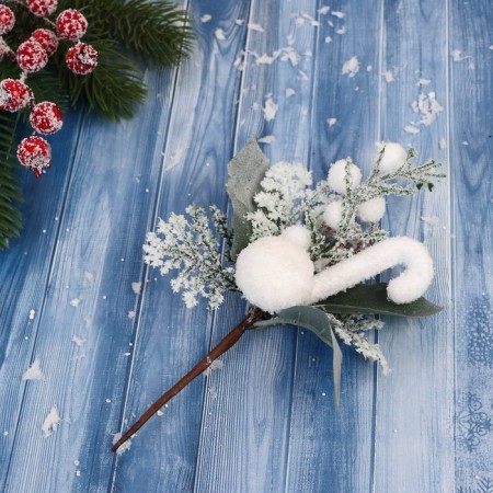 Decor "Winter Dreams" Snow Apple and Berries, 14 cm-2