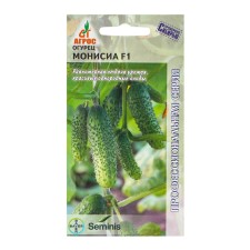 Seeds of cucumber 