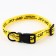 Set Off-Cat, fastener-fastx, leash 2 m and collar 28-46 cm
