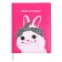 Universal Diary Grade 1-11, 48 sheets "Hare", a solid cover of artificial leather, silkography, OFSET block