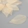 Leaves skeletered for creativity "bodily" set 20 pcs h = 6-6.5 cm