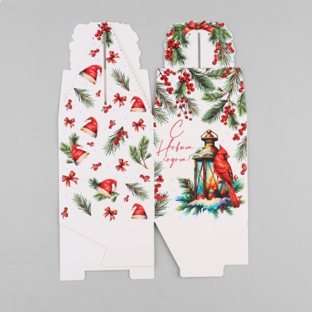 New Year's folding box "New Year's botanist" 14 x 16 x 14 cm, New Year-5