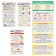Set of cheat sheets "We write correctly 1-4 class" 10.9 x 20.2 cm