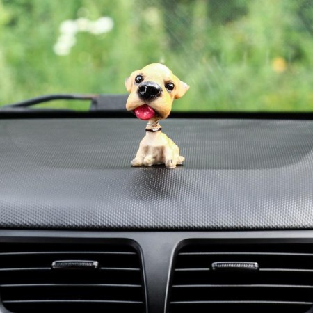 Dog on a car panel shocking his head, Wales Terrier-2