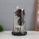 Halloween lamp “Skull with rose” 1.5W, LED, 3XAAA, Black USB 11x11x21cm