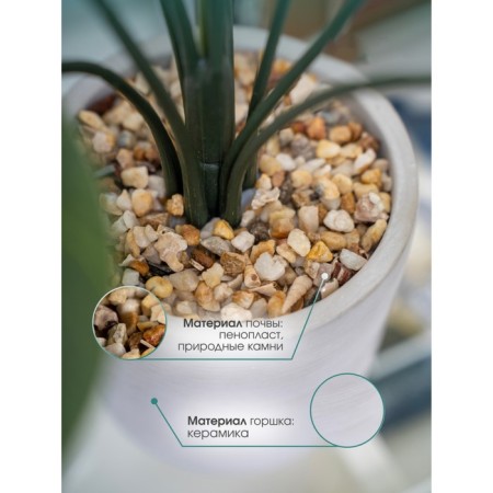 Decorative plant in a ceramic pot of Monster, 12 × 12 × 70 cm-2