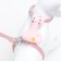 A set of ammunition with a toy, s, leash 120 x 1 cm, Osh 20-30, og 25-40 cm, pink