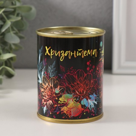 Growing grass "Chrysanthemum"