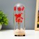Nightlight "Red composition" LED from batteries 3xlr44 7x7x19 cm Risalux
