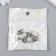 Souvenir wallet metal "Cash toad" 1.5x1.2 cm