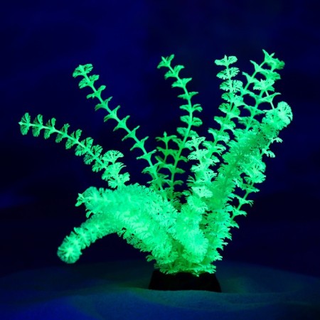 The artificial aquarium, luminous plant, 18 cm, green-3