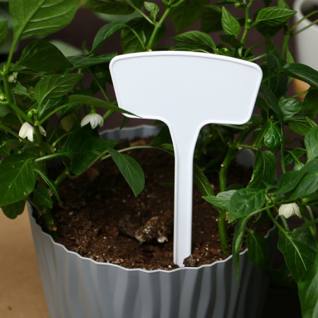 Garden signs for marking, 20 cm, set 10 pcs., Plastic, white, Greengo-5