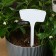 Garden signs for marking, 20 cm, set 10 pcs., Plastic, white, Greengo